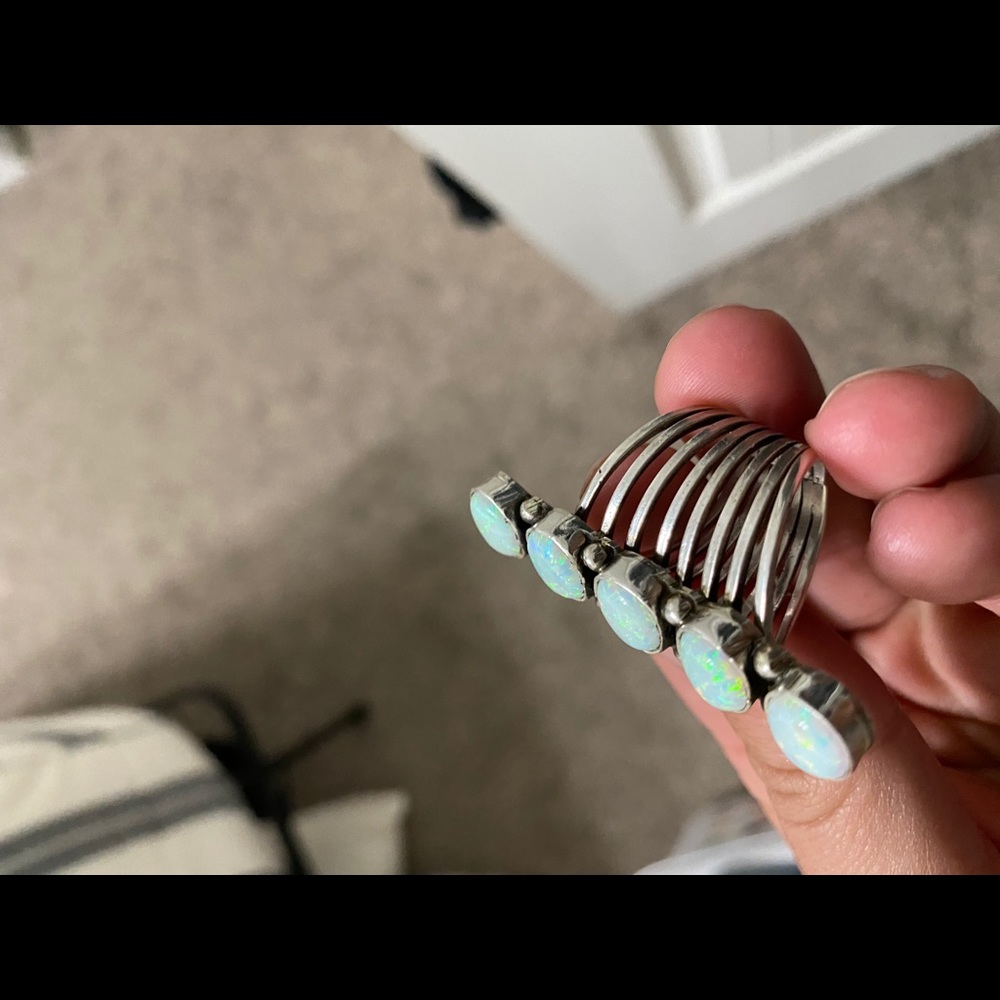 Western Ring - image 3